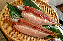 カマスのご注文はこちらから