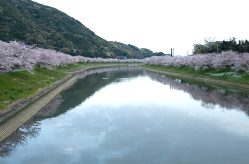 サンプルイメージ