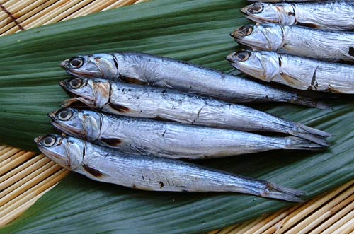 カタクチイワシの丸干し